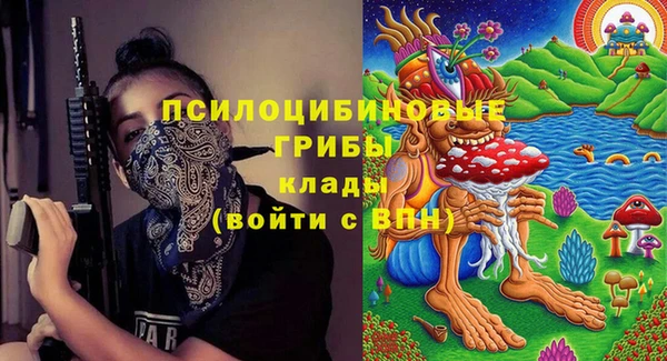 стафф Бородино