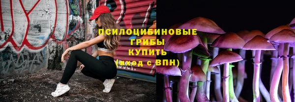 спиды Осташков