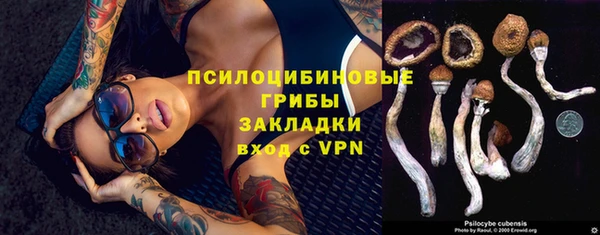 ECSTASY Остров