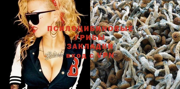 MESCALINE Осинники