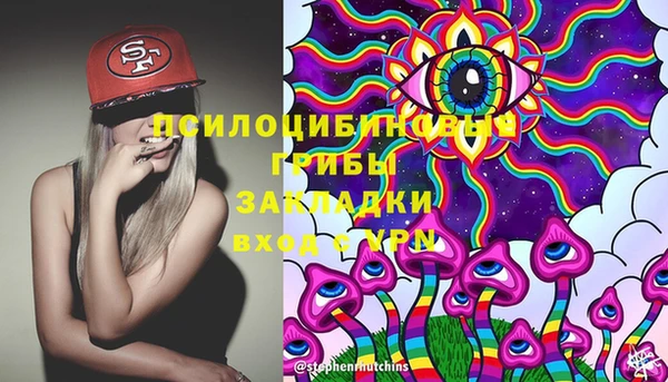 MESCALINE Осинники