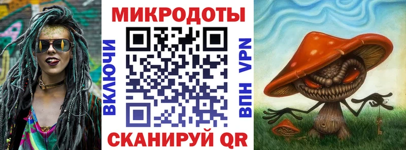 Галлюциногенные грибы Psilocybe Великие Луки